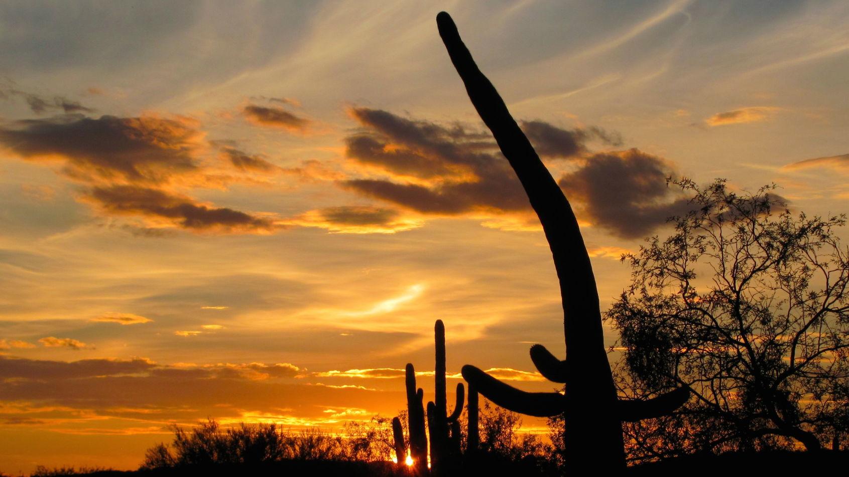 Here's pleasant penance for overeating on Thanksgiving — hiking scenic trails